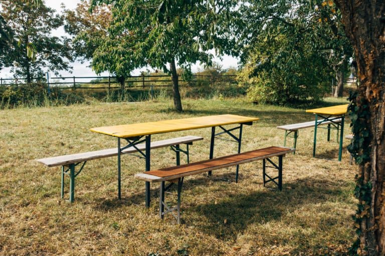 Home Outdoor scene with picnic tables under trees, perfect for gatherings.