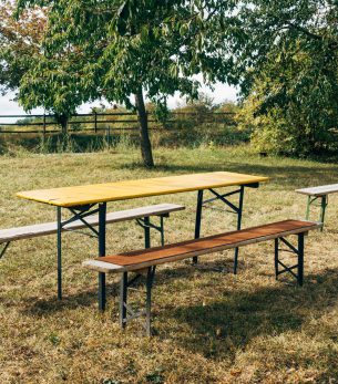 Outdoor scene with picnic tables under trees, perfect for gatherings.